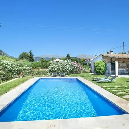 Owl Penaso - Dream Pool And Royal Garden *
