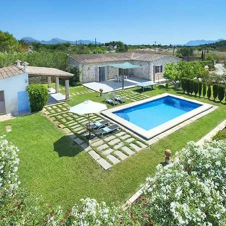 Owl Penaso - Dream Pool And Royal Garden Pollenca